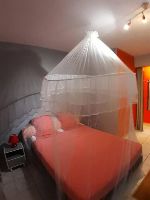 Hibiscus Appartement Les Abymes